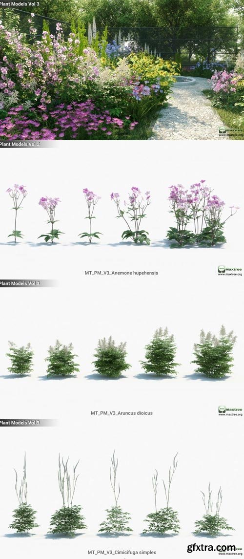 Maxtree - Plant Models Vol 3