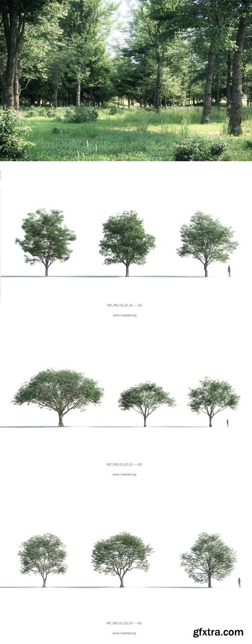 Maxtree - Plant Models Vol 5