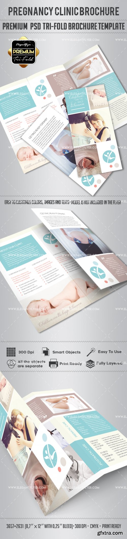 Pregnancy Clinic V1 Premium Tri-Fold PSD Brochure Template