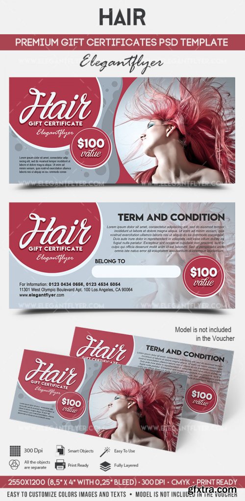 Hair V3 2018 Premium Gift Certificate PSD Template