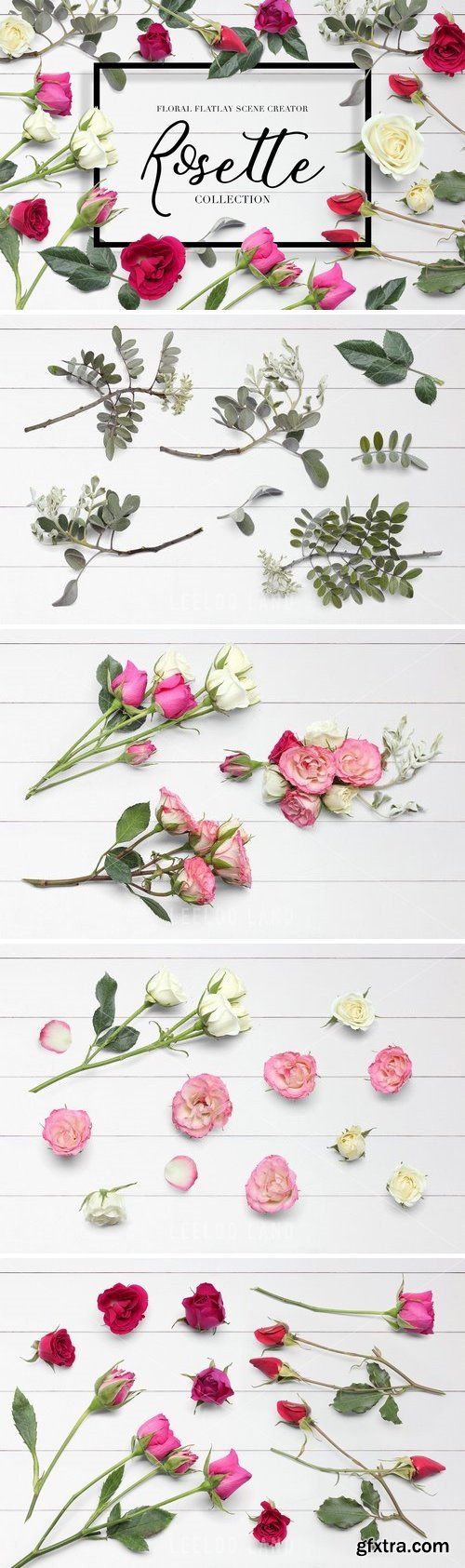 CM - Floral Flatlay Scene Creator Rosette 1549013