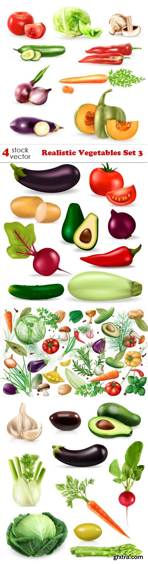 Vectors - Realistic Vegetables Set 3