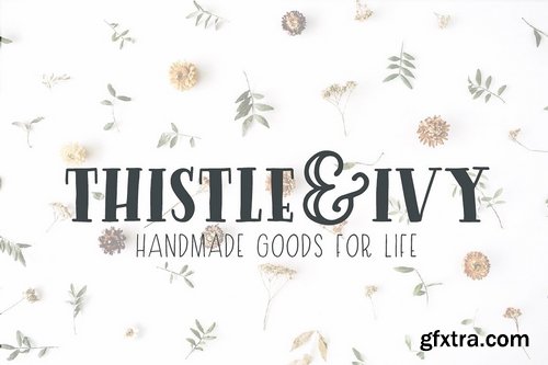 CM - Driftwood Font Family 2361872