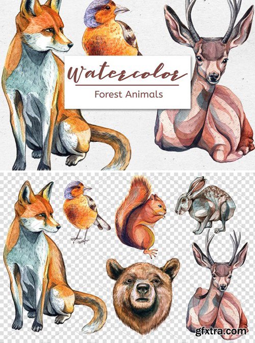 CM - Watercolor Forest Animals &ndash; Set of 6 2357035