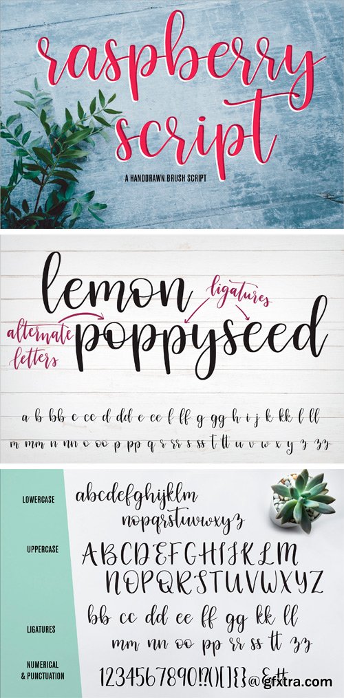 CM - Raspberry Script Brush Font 2396946