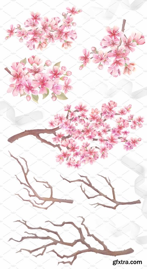 CM - Cherry Blossom Watercolor 2361263