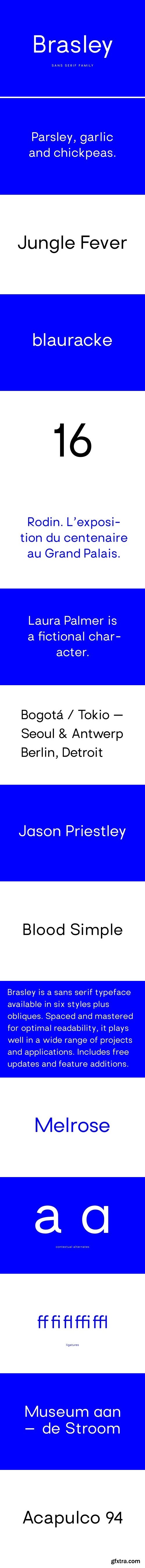 CM - Brasley: a geometric sans family 2152227