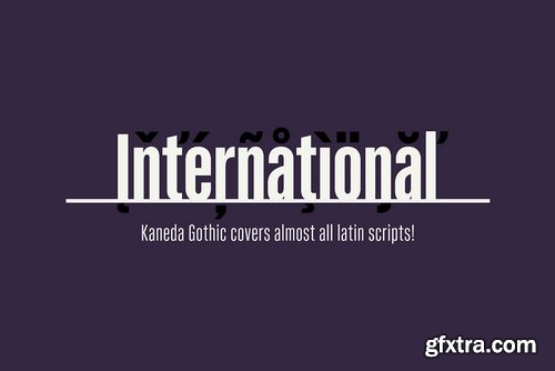 Kaneda Gothic Font Family