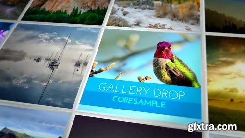 Image Gallery Drop After Effects Template