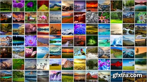 Image Gallery Drop After Effects Template