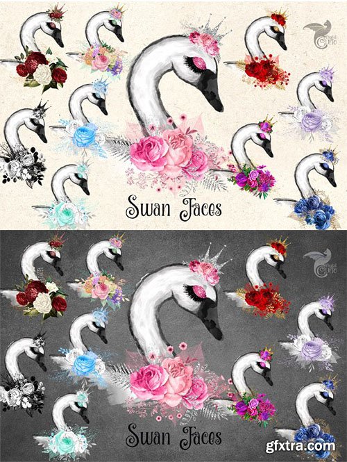 CreativeMarket - Swan Faces Clipart 2418984