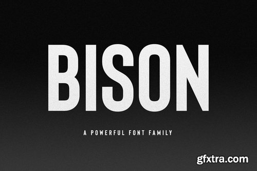 CM - Bison - Powerful Sans Serif 2361604