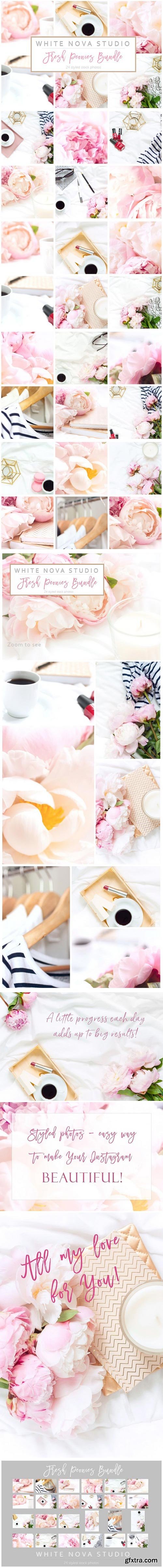 CM - Fresh Peonies Bundle 1569351