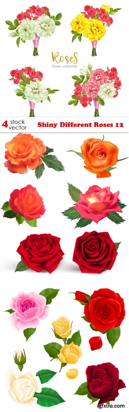 Vectors - Shiny Different Roses 12