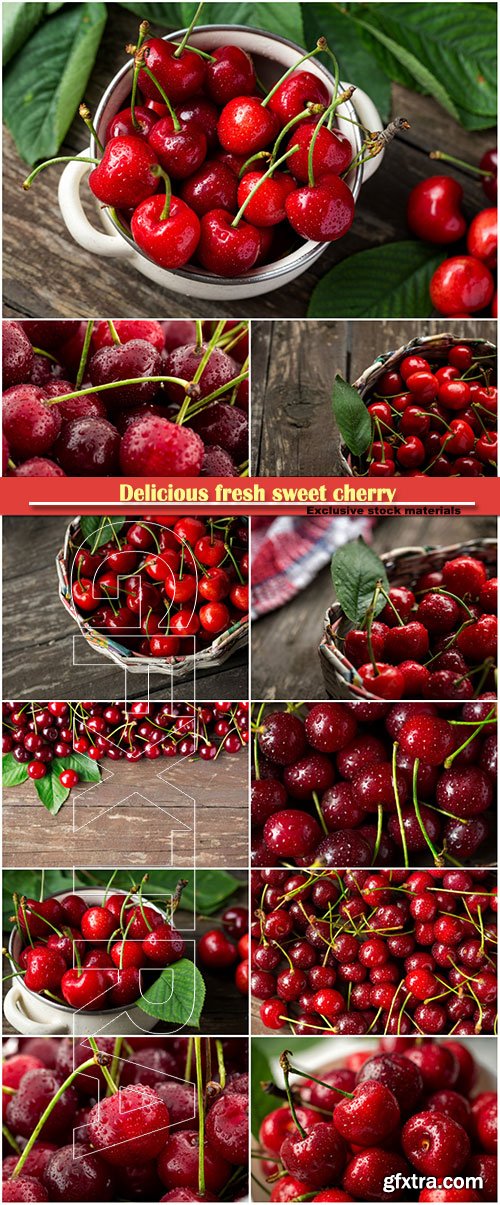 Delicious fresh sweet cherry