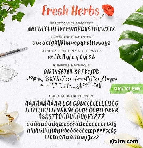 CM - Fresh Herbs Font 2373063