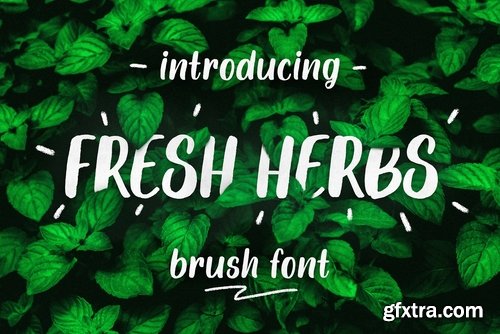 CM - Fresh Herbs Font 2373063