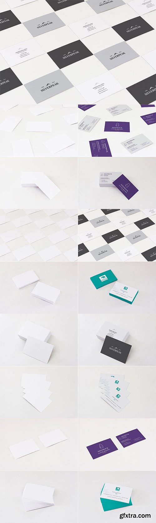 Business Card Mockups