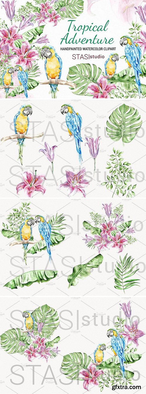 CM - Summer Watercolor Clipart Parrot 1568450