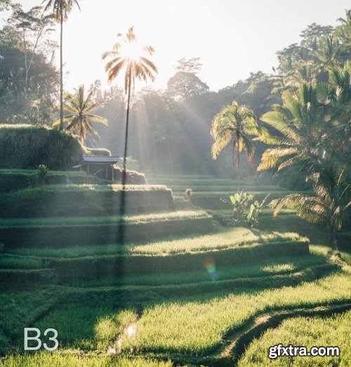 DOYOUTRAVEL X GYPSEALUST Presets - Bali Collection