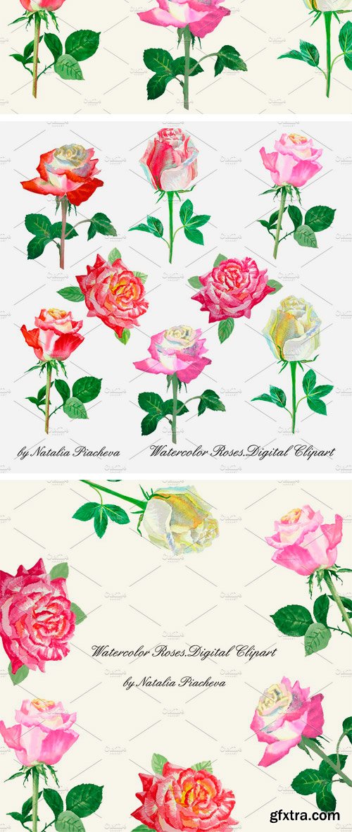 CM - Watercolor Clipart with Roses 2350502