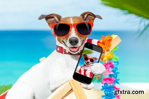 Dog selfie photography man with an animal 25 HQ Jpeg