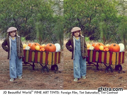 JD Beautiful World Actions: Fine Art Tints Photoshop Actions