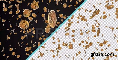 Raining Bitcoins - Motion Graphics 74958