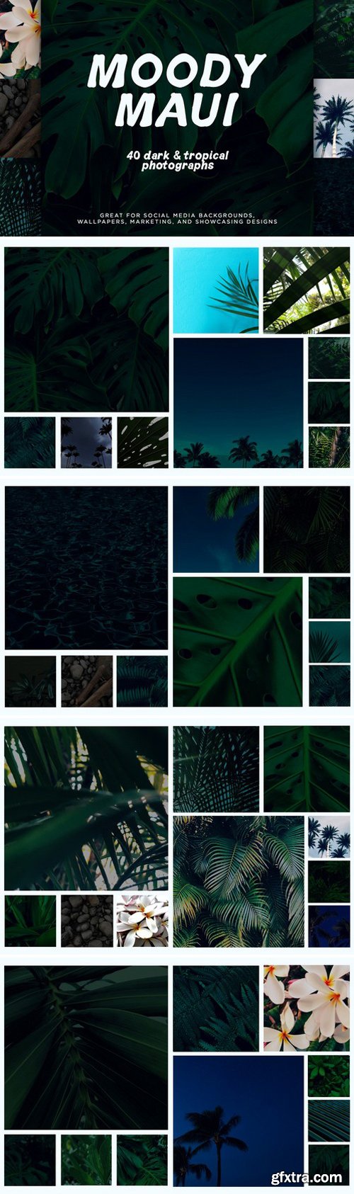 CM - Tropical Photo Pack: Moody Maui 2355783