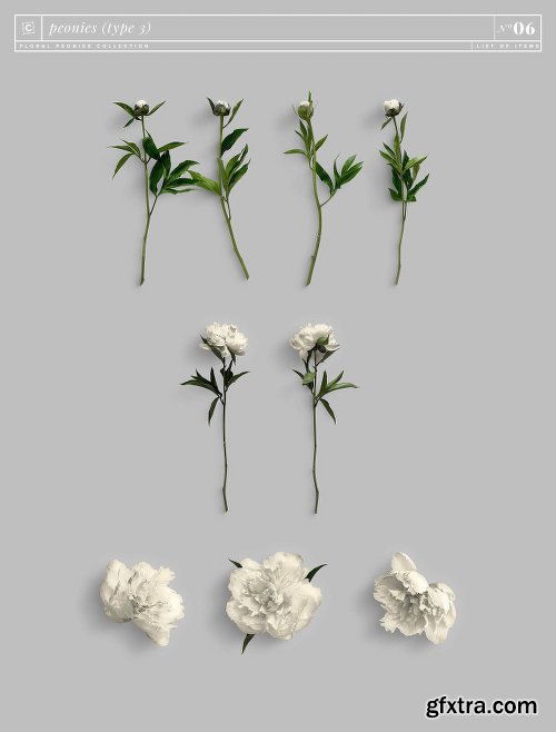 CreativeMarket Floral Peonies Collection [20% OFF] 2303528