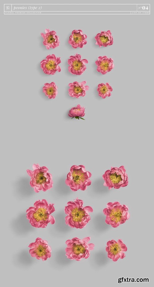 CreativeMarket Floral Peonies Collection [20% OFF] 2303528