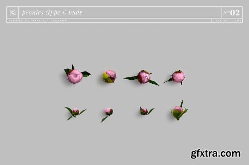 CreativeMarket Floral Peonies Collection [20% OFF] 2303528