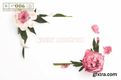 CreativeMarket Floral Peonies Collection [20% OFF] 2303528