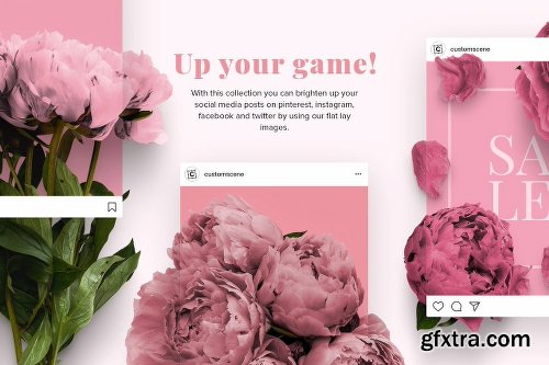 CreativeMarket Floral Peonies Collection [20% OFF] 2303528