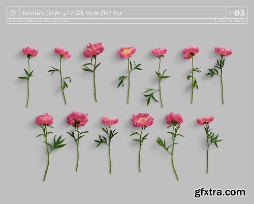 CreativeMarket Floral Peonies Collection [20% OFF] 2303528