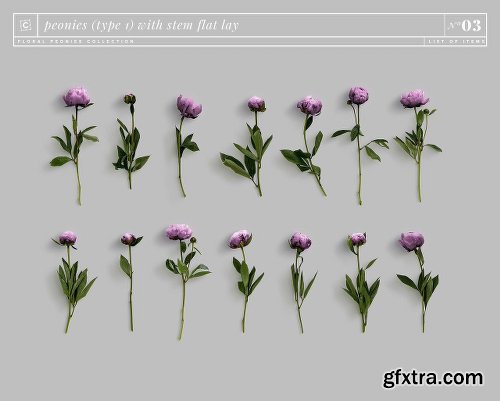 CreativeMarket Floral Peonies Collection [20% OFF] 2303528