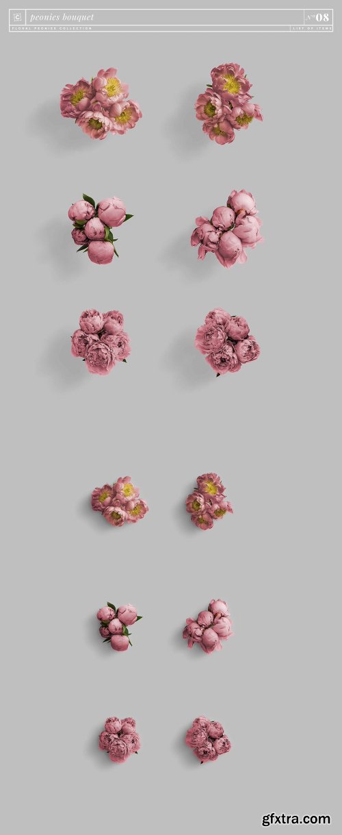 CreativeMarket Floral Peonies Collection [20% OFF] 2303528