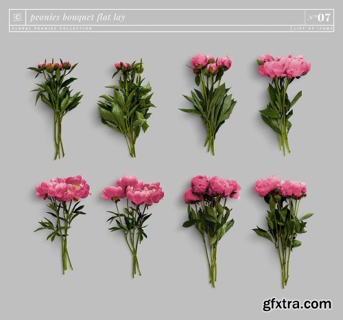 CreativeMarket Floral Peonies Collection [20% OFF] 2303528