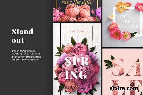 CreativeMarket Floral Peonies Collection [20% OFF] 2303528