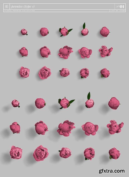 CreativeMarket Floral Peonies Collection [20% OFF] 2303528