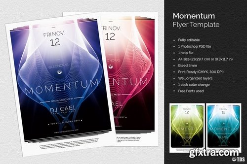 Momentum Flyer Template