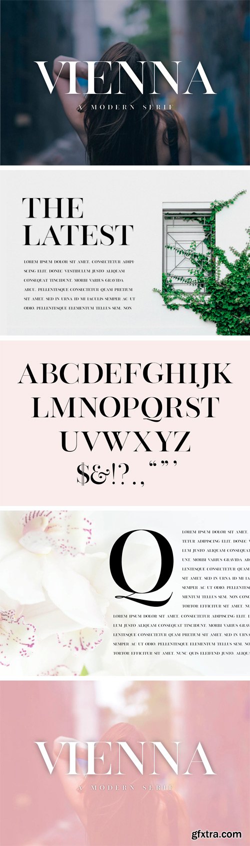 Vienna Modern Serif Font