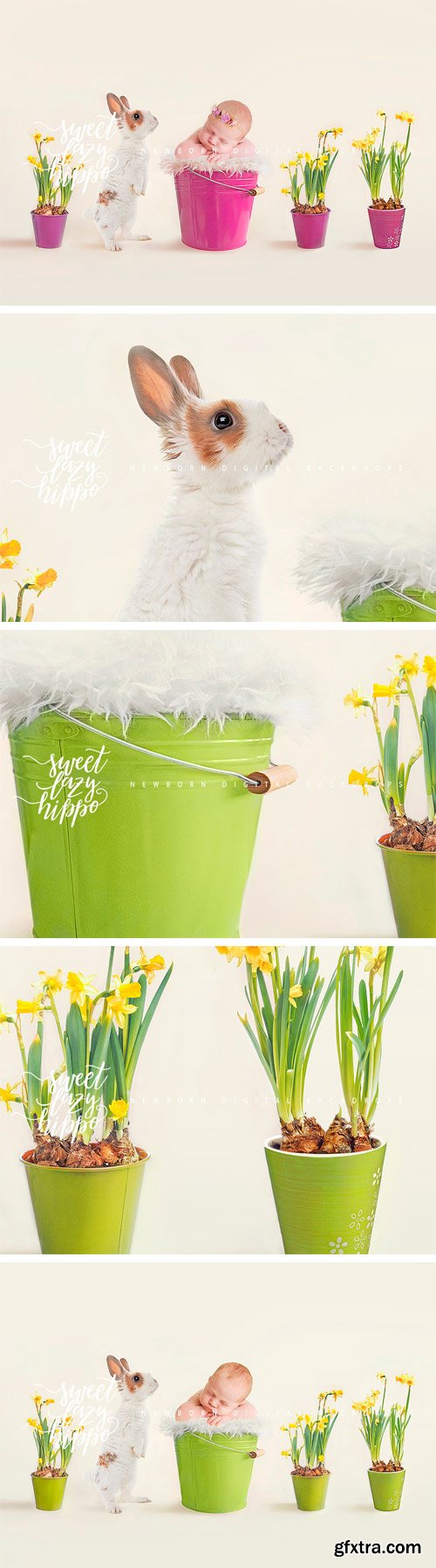 CM - Easter Newborn Digital Backdrop 2395601