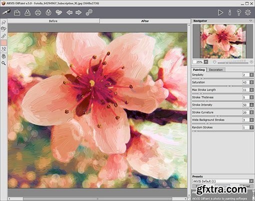 AKVIS OilPaint 5.0.520.13548 Multilingual (x64)