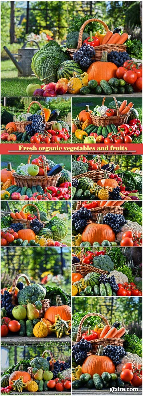 Variety of fresh organic vegetables and fruits in the garden