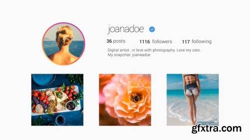 Videohive Instagram Promo 20219345