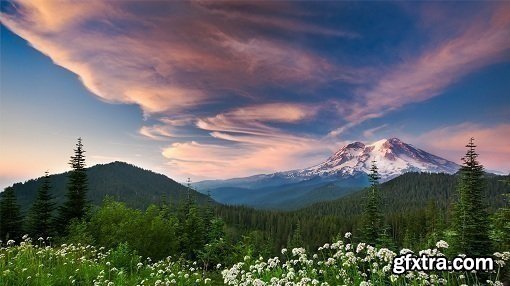 The Art of Nature Photography by Art Wolfe