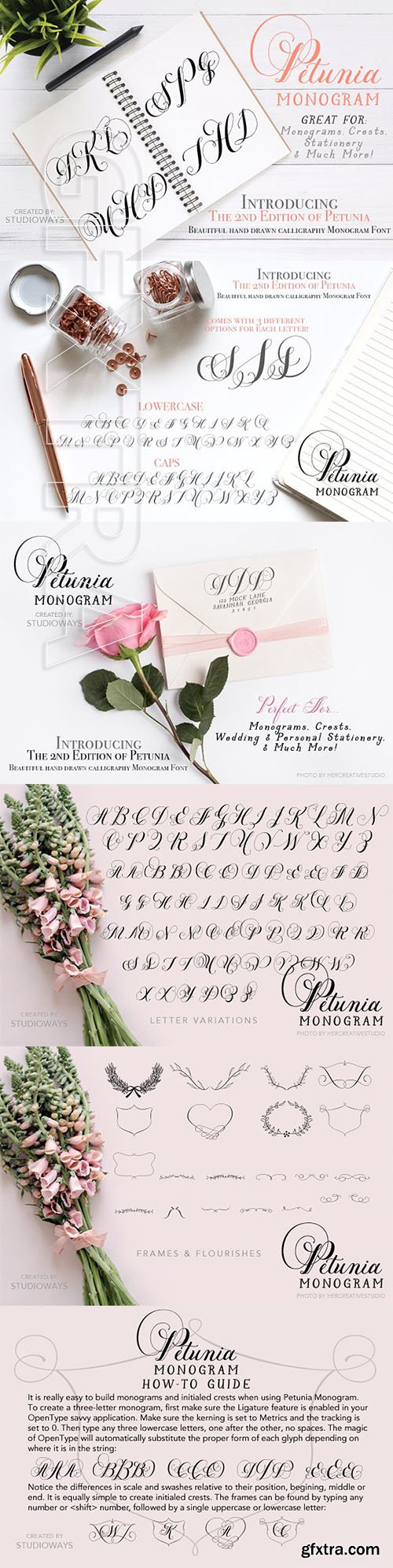 CreativeMarket - Petunia Monogram 2439031