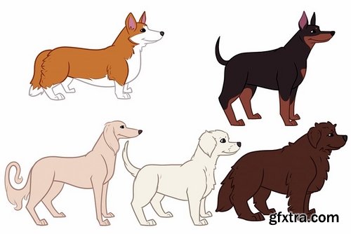 CM - 16 Dog breed illustrations 2373320