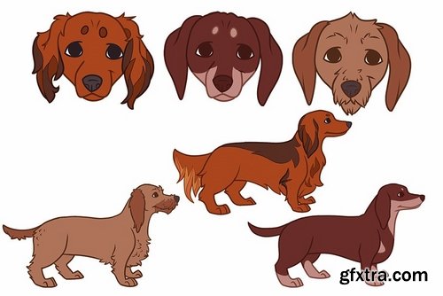 CM - 16 Dog breed illustrations 2373320